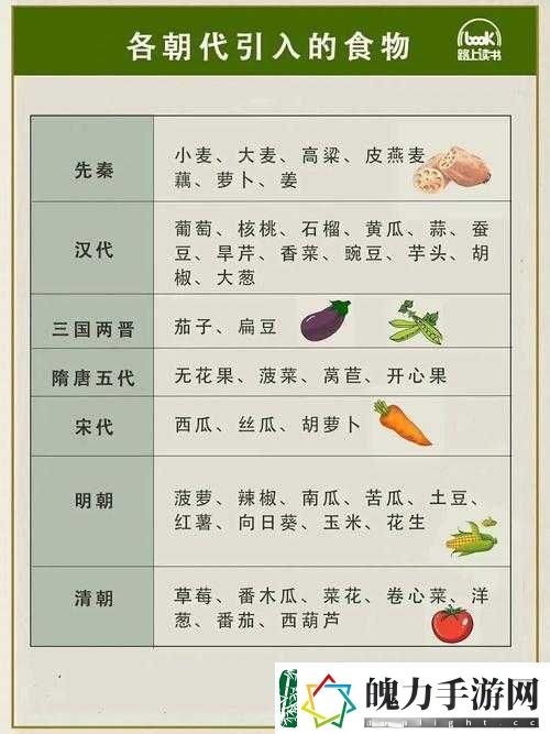 中世纪王朝食物保质时间究竟多长
