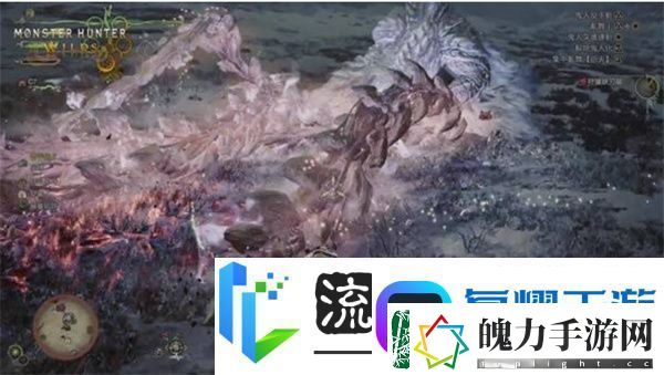 怪物猎人荒野测试版怪物弱点汇总