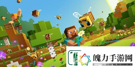 我的世界之父“官宣”我的世界2
