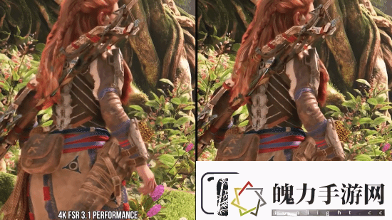 数毛社评测FSR