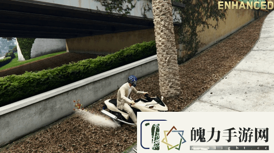 给他爱5PC增强版细节展示