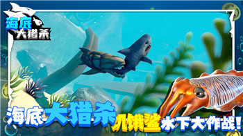 鬼谷八荒怎么妻子怀孕有啥用