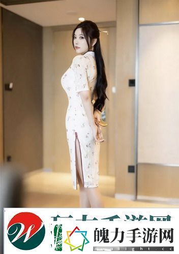 欧美大尺寸SUV免费