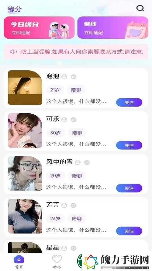 爆火的5款免费开放聊天软件！敢问你用对了吗