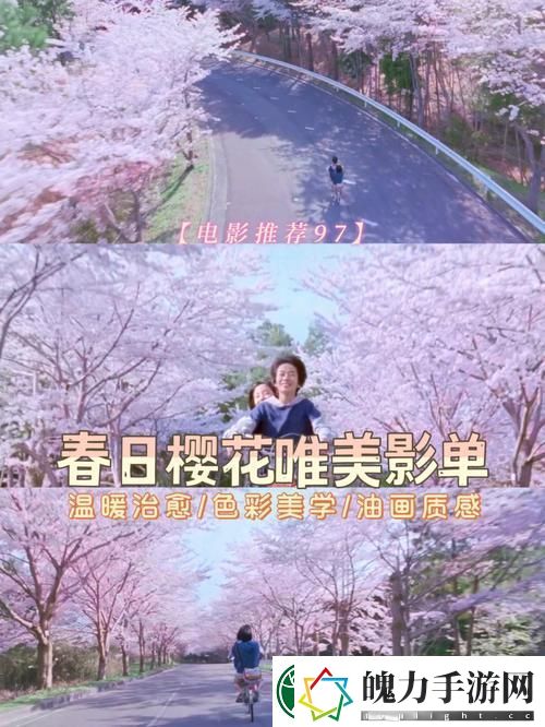 樱花电影免费观看