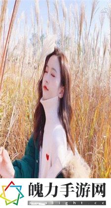 成品视频crm大象视频：提供更加优质的视频内容