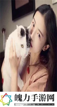 风灵修改器官网：官网界面与布局