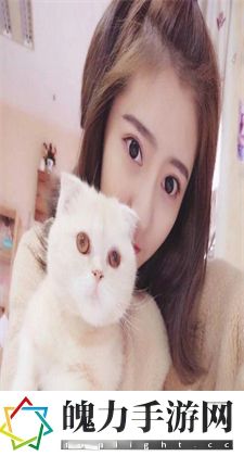 看B站直播：B站直播的多元内容