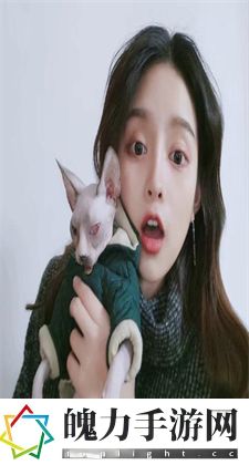 和金毛干了好几小时交流：建立信任的开端