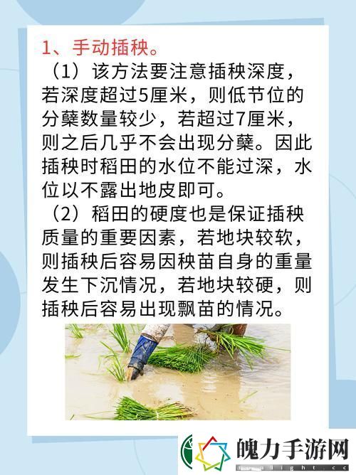 内容丰富夫妻插秧38种方法图片大全