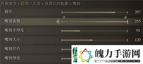 艾尔登法环蒂法捏脸数据