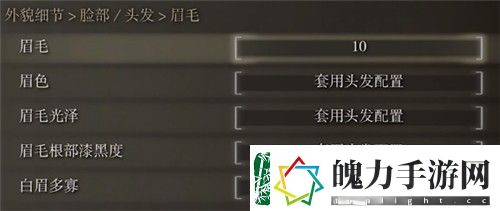 艾尔登法环蒂法捏脸数据