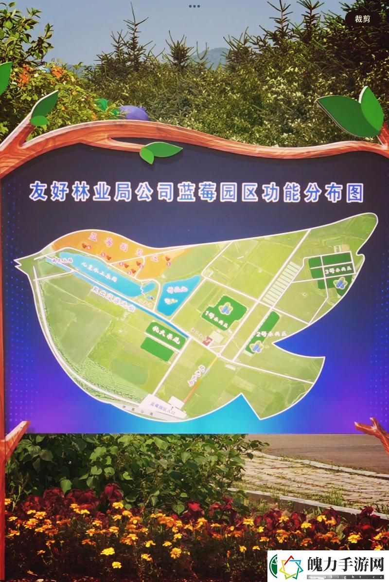探索美丽转变