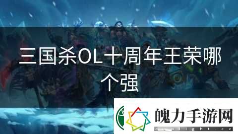 三国杀OL十周年王荣哪个强
