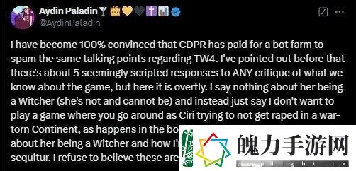 巫师4争议持续