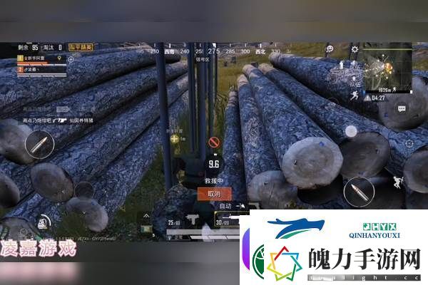 汤姆的绝妙抓鼠技巧揭秘