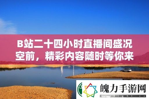 B站二十四小时直播间盛况空前