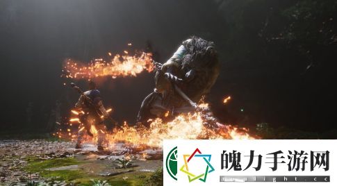 外煤谈黑神话
