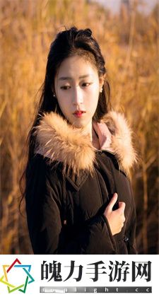 进入B站的正确方式：畅享B站多元世界