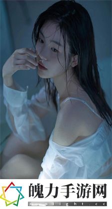 b站视频能不能下载：探讨B站视频能否下载