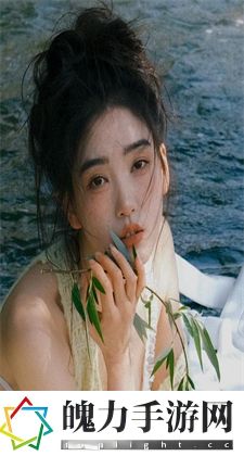 金花瓶楷梅花2江湖恩仇录：风云初起
