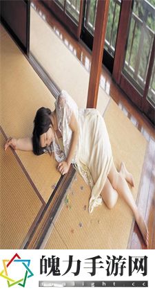 哔哩哔哩在线看免费观看：探索这个丰富多彩的视听世界