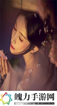 ZOOM人与ZOOMWIDS：深入了解这两者的奥秘