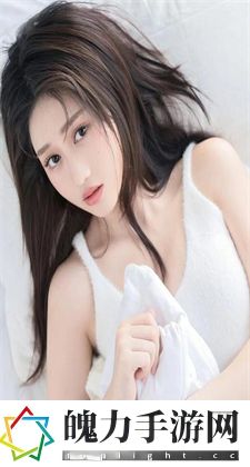 狗的东西又硬又长：探秘狗相关又硬又长之物