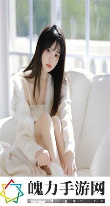 欧美区一码二码三码区别：探究不同码的特点与区别
