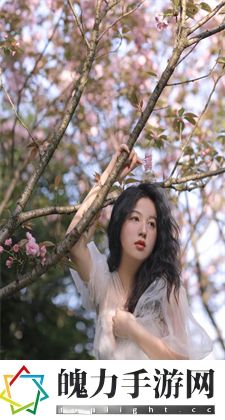 国产DB624色谱柱88690：国产DB624色谱柱88690的基本信息