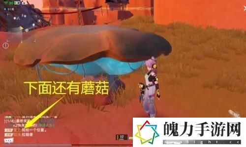 幻塔蓝色的花怎么开.jpg