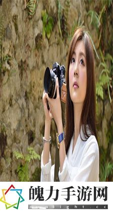 看B站：解锁B站多元精彩内容