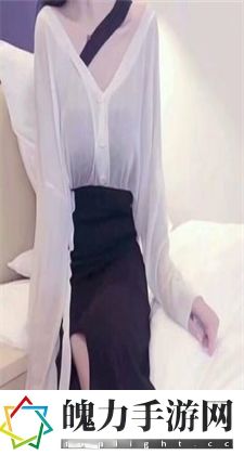 国精产品六区：六区产品的多元领域