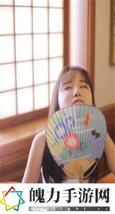 海诺：海诺的起源与发展历程