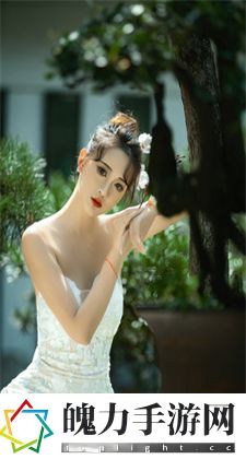 	 阿姆好听的歌：经典叙事之作